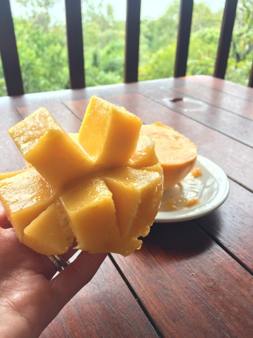 Fresh Mango