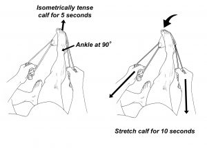 Stretching VS. Foam Rolling: Is There an Ideal Pre-exercise Warm